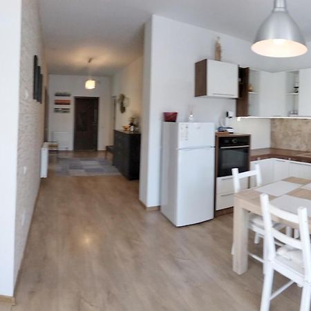 Apartament De Lux Cu Terasa Apartamento Timişoara Exterior foto